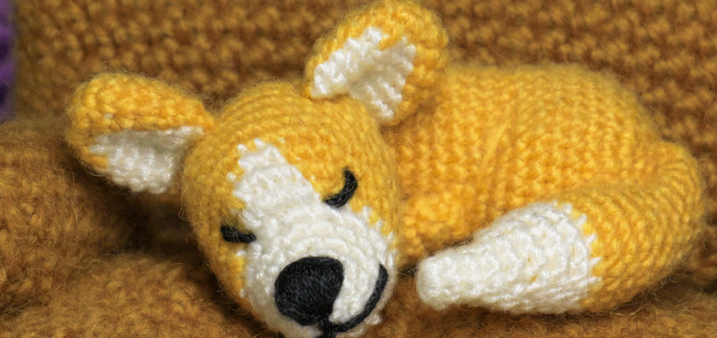 The same corgi through round 7's LUT: golden yellow again.