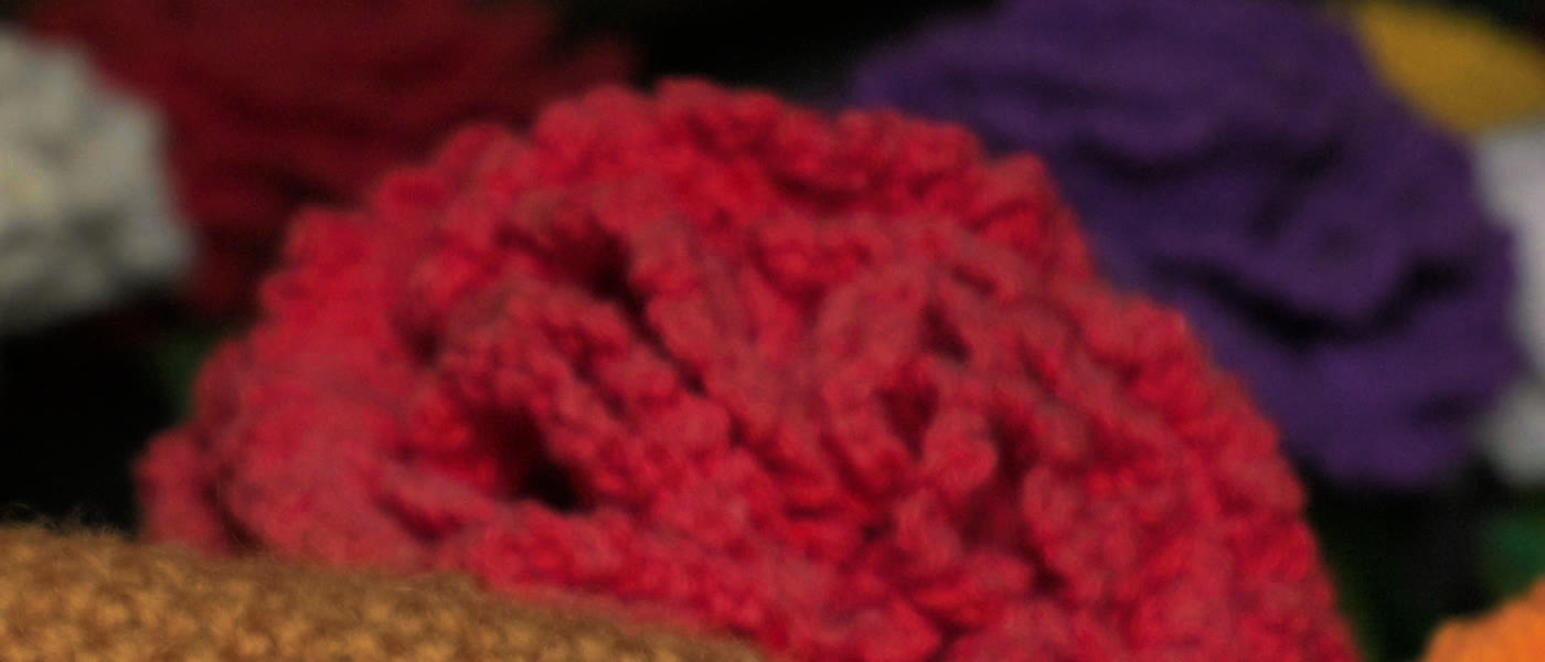 The same flower through round 5's LUT, pushed towards red.