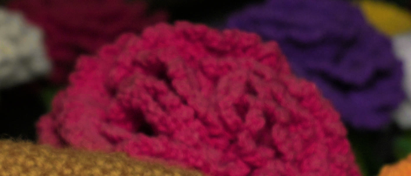 The same flower through round 6's LUT, pink again.